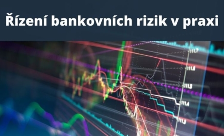 Přednáška Řízení bankovních rizik v praxi dne 31.3.2021 od 12:30
